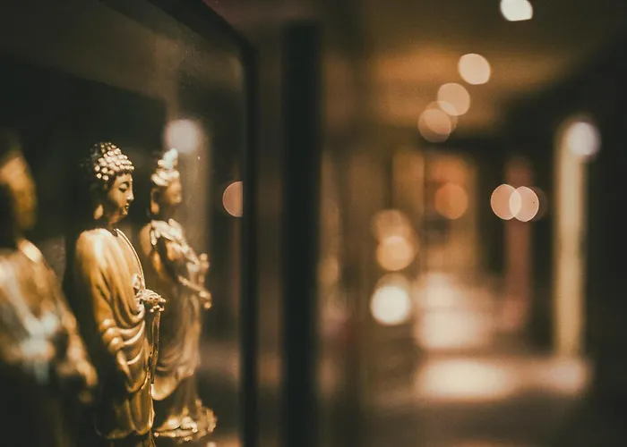 The Historic Ter Duin