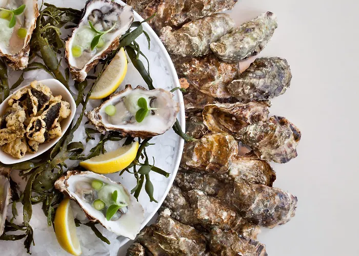 The Historic Ter Duin